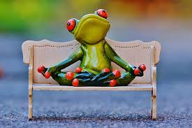 The best gifs of frog sitting on a bench on the gifer website. Closeup Ceramic Tree Frog Sitting Chair Frog Bench Relaxation Rest Funny Pxfuel