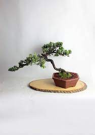 Pin On Inspiring Ideas
