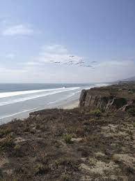 Every One Needs A Place To Clear Their Mind And Relax And I Personally Have Grown Up In A Beach Town So The Ocean I Beaches Near Me Beach Town Happy