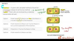 Dividing animal cells first ingress a cytokinetic furrow and then separate the plasma membrane by abscission. Assertion In Plant Cells Cell Plate Method Is Found For Cytokinesis Instead Of Cell Youtube