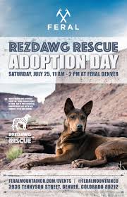 It's always important not to give pets lightly, as at the adoption event, you'll be able to meet the available puppies so you can find the right match for if you needed another great reason to adopt a pet from the denver animal shelter, here's another one. Rezdawg Adoption Day At Feral