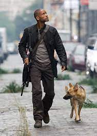 This was actually the third time it had been made into a movie. Review I Am Legend Thrills Then Chills Wired