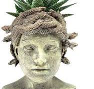 Amazon.com: Medusa - Macetero grande con cara de piedra ...