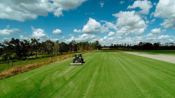 Fraser Coast Turf Supplies | Wide Bay Turf