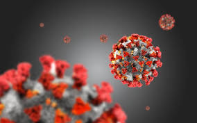 Coronavirus counter with new cases, deaths, and number of tests per 1 million population. Covid 19 Corona Metzger Msk