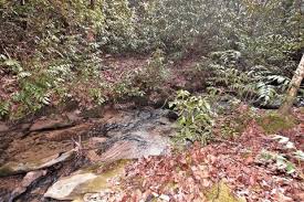 Get an amazing deal by purchasing a property under market value in the area that you are interested in. Turtletown Homes For Sale Turtletown Tn Real Estate Movoto