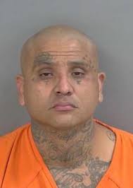 Collier County Arrests & Mugshots