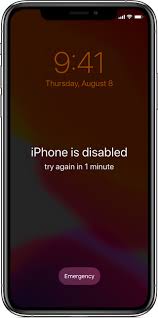 Factory unlocked iphone models are beneficial for customers wanting to change carriers and shop different phone plans. If You Forgot Your Iphone Passcode Apple Support Ph