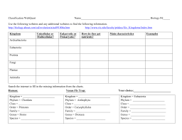 classification webquest