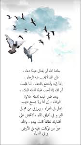 pin by rody on دعاء beautiful words words quotes