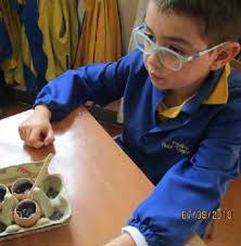 ANUARIO 2018 TISLS.indd