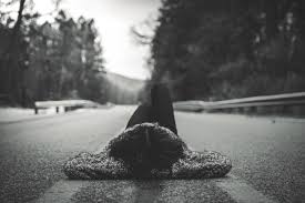 Anime 1080p, 2k, 4k, 5k hd wallpapers free download, these wallpapers are free download for pc, laptop, iphone, android phone and ipad desktop. Wallpaper People Nature Women Outdoors Road Trees 5431x3621 Bukssna 680112 Hd Wallpapers Wallhere