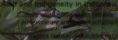 Adat and Indigeneity in Indonesia