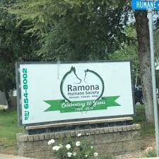 Dog ramona humane society photos. Photos At Ramona Humane Society Animal Shelter In San Jacinto