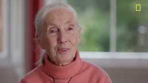 Jane Goodall: The Hope
