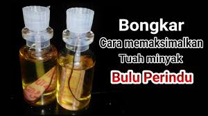 Dari wujudnya sendiri, bulu perindu berwujud seperti halnya akar akaran yang kecil. Cara Memakai Minyak Bulu Perindu Youtube