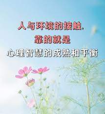 人与环境的接触 靠的就是心理智慧的成熟和平衡 home decor decals buddhism decor