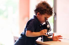 A compound digital microscope is another type of device that's used to explore enlarged images. 5 Best Microscopes For Kids In 2020 Imagination Ward
