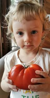 Grateful to visit a geothermal #greenhouse here in Iceland during the  Iceland Geothermal Conference.
