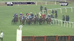 Look out for keith's free tips for all 28 races, in your inbox every morning throughout cheltenham. The 2021 Cheltenham Festival A Super Statistic For Each Of The 28 Races