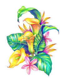 Abstraktnye Tropicheskih Listya I Cvety Akvarel Illyustracii Photo Cvetochnoe Iskusstvo Tropicheskoe Iskusstvo Akvarelnye Illyustracii