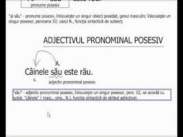 Adjectiv relatic cu functia sintactica de atribut adjectival c. Pronume È™i Adjective Pronominale Youtube