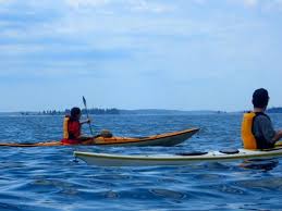 Sea quest specializes in sea kayaking tours & vacations to watch whales. Kayaking Near Brooklin Me With Driftwood Kayak Picture Of Driftwood Kayak Deer Isle Tripadvisor