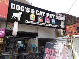 Join our loyalty program & earn points every time you shop! Dog S Cat Pet Shop Indira Nagar Lucknow Pet Shops For Dog In Lucknow Justdial