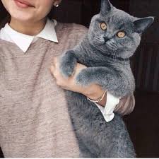 фото на аву в вк для девушек без лица с длинными волосами Foto Dlya Devushek Photo For Girls Milye Risunki Foto Otrazheniya Kartinki Poz