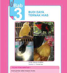 Tugas pengamatan 1 prakarya kelas 9 bab 4. Materi Prakarya Kelas 9 Bab 3 Portal Edukasi