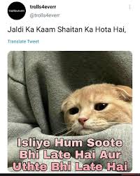Trolls4everr @trolls4everr Jaldi Ka Kaam Shaitan Ka Hota Hai, Translate  Tweet - Americas best pics and videos