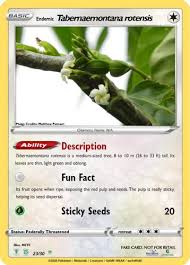 Image result for Tabernaemontana inconspicua