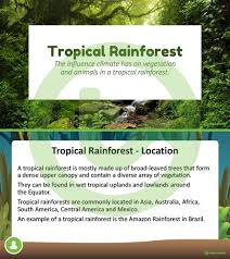On this page of tropical rainforest facts is a list of many of the world's tropical rainforest with some facts about each. Tropical Rainforest Powerpoint Teaching Resource Teach Starter Teaching Geography Teaching Tropical Rainforest
