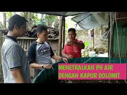 Ketahui kandungan, manfaat, efek samping, dll. Menetralkan Ph Air Dengan Kapur Dolomit Youtube
