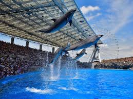 Port of Nagoya Public Aquarium | Visit Nagoya-Nagoya City Guide