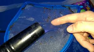 You won't be caught surprised when battery runs out while you need it. Intex Pool Vacuum Homemade System Youtube