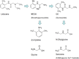 This image finder can find image sources over multiple search engines. Molecular Mechanisms Of Action Of Systemic Lidocaine In Acute And Chronic Pain A Narrative Review British Journal Of Anaesthesia