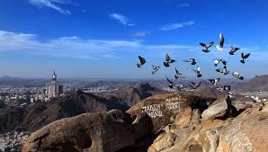 Check spelling or type a new query. Emigration To Madinah Lessons For New Muslims