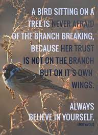 Always Believe In Yourself The Daily Quotes Words Inspirational Quotes Inspirational Words
