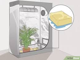 Where is the best place to put it in the terrarium? How To Increase Relative Humidity In A Grow Tent Wikihow