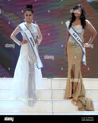 Image result for Pachylobus osika