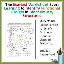 Biochemistry Functional Groups Activity For High School Biology Functional Group Teaching Chemistry Teaching Biology