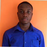 30+ "Ray Burrell" profiles