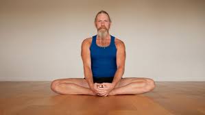 What Is Hatha Yoga Ekhart Yoga