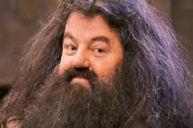 Tracy Wirtz: I Am A Harry Potter Freak!!!