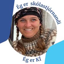 Where to buy a birthday cake in Reykjavik or along the Golden Circle in  Iceland?