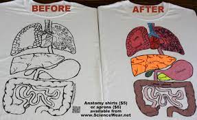 Anatomy Project For Entire Classroom Available In T Shirts Or Apron Www Sciencewear Net Great Way Human Body Projects Biology Classroom Human Body Systems