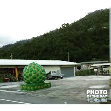 馬路邊矗立了好大顆的釋迦 這是盛産地台東有名的釋迦地標 吃過的人都說讃 口感綿密 甜度極高 一棵就足以飽足一餐 床工場床品屏東直送台東路經此處 記錄地方特色 分享粉絲們 台東釋迦超可愛 photooftheday 床工場生活館