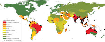 1 day ago · melioidosis, also called whitmore's disease, is caused by the bacterium burkholderia pseudomallei and primarily is found in tropical climates such as southeast asia and northern australia. Predicted Global Distribution Of Burkholderia Pseudomallei And Burden Of Melioidosis Nature Microbiology