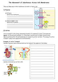 Structure that helps move molecules across the cell membrane. 26 Transport Across Cell Membrane Worksheet Worksheet Resource Plans